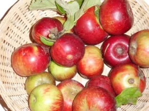Api rouge (fruit).