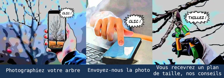 “Clic, clic, taillez !”