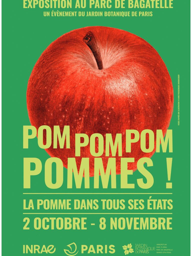 Exposition Pompompom Pommes