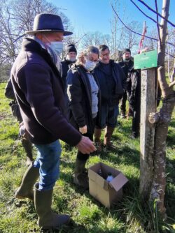 Cours de taille de pommiers - Merval