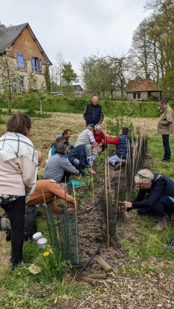 Cours de greffage du 23/04/2022 - Domaine de Merval Cours de greffage du 23/04/2022 - Domaine de Merval