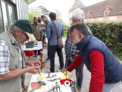 Cours de greffage du 23/04/2022 - Domaine de Merval Cours de greffage du 23/04/2022 - Domaine de Merval