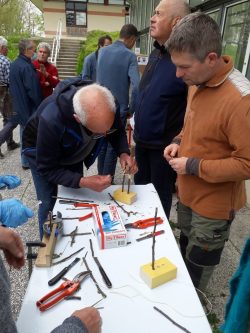 Cours de greffage du 23/04/2022 - Domaine de Merval Cours de greffage du 23/04/2022 - Domaine de Merval